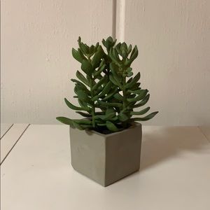 Artificial Succulent